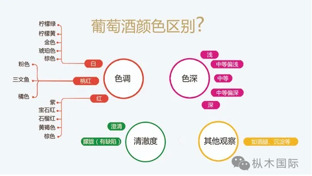如何觀葡萄酒顏色？.jpg